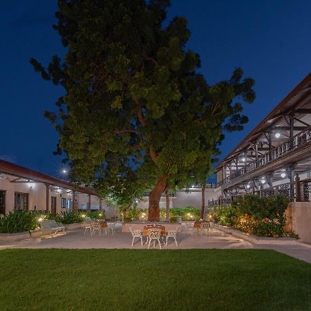 Tree Of Life Darbargadh Dared Otel Bhavnagar Dış mekan fotoğraf