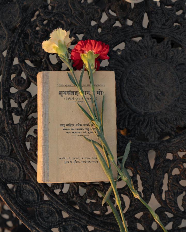 Tree Of Life Darbargadh Dared Otel Bhavnagar Dış mekan fotoğraf